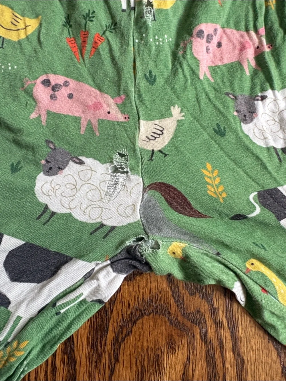 Little Sleepies green bamboo Farm Animals print, 2 piece pajama set. Size 9/10